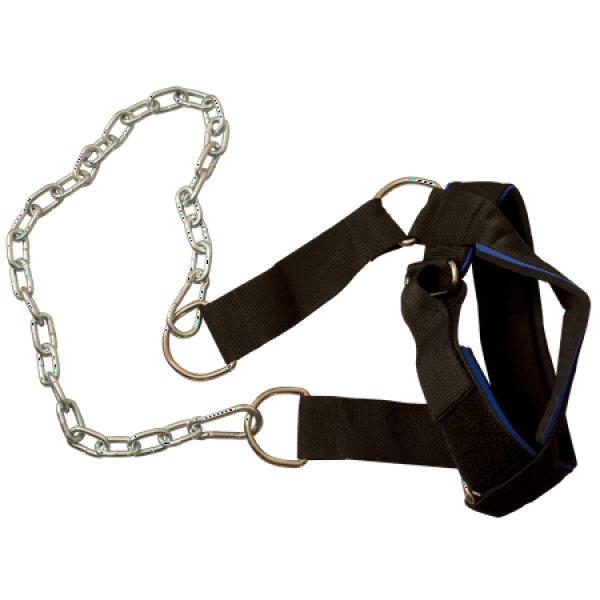 Body Solid - Head Harness Nylon or Leather